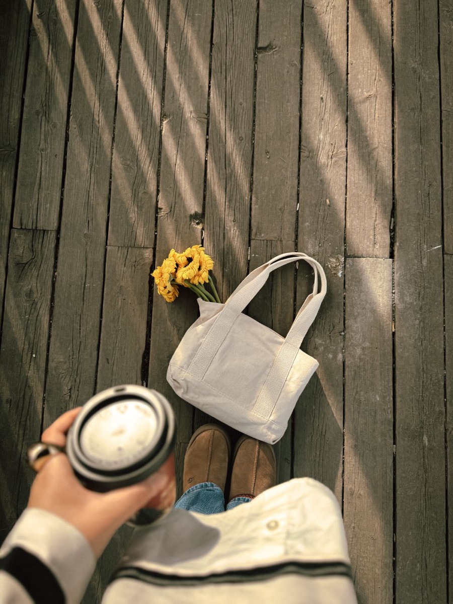 TT-02 mini tote, bone